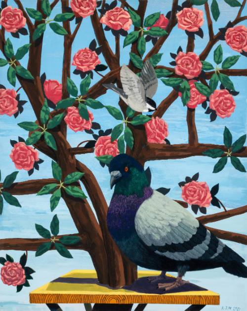 Black and Part Black Birds in America: (Pigeon and Black Capped Chickadee no 2)